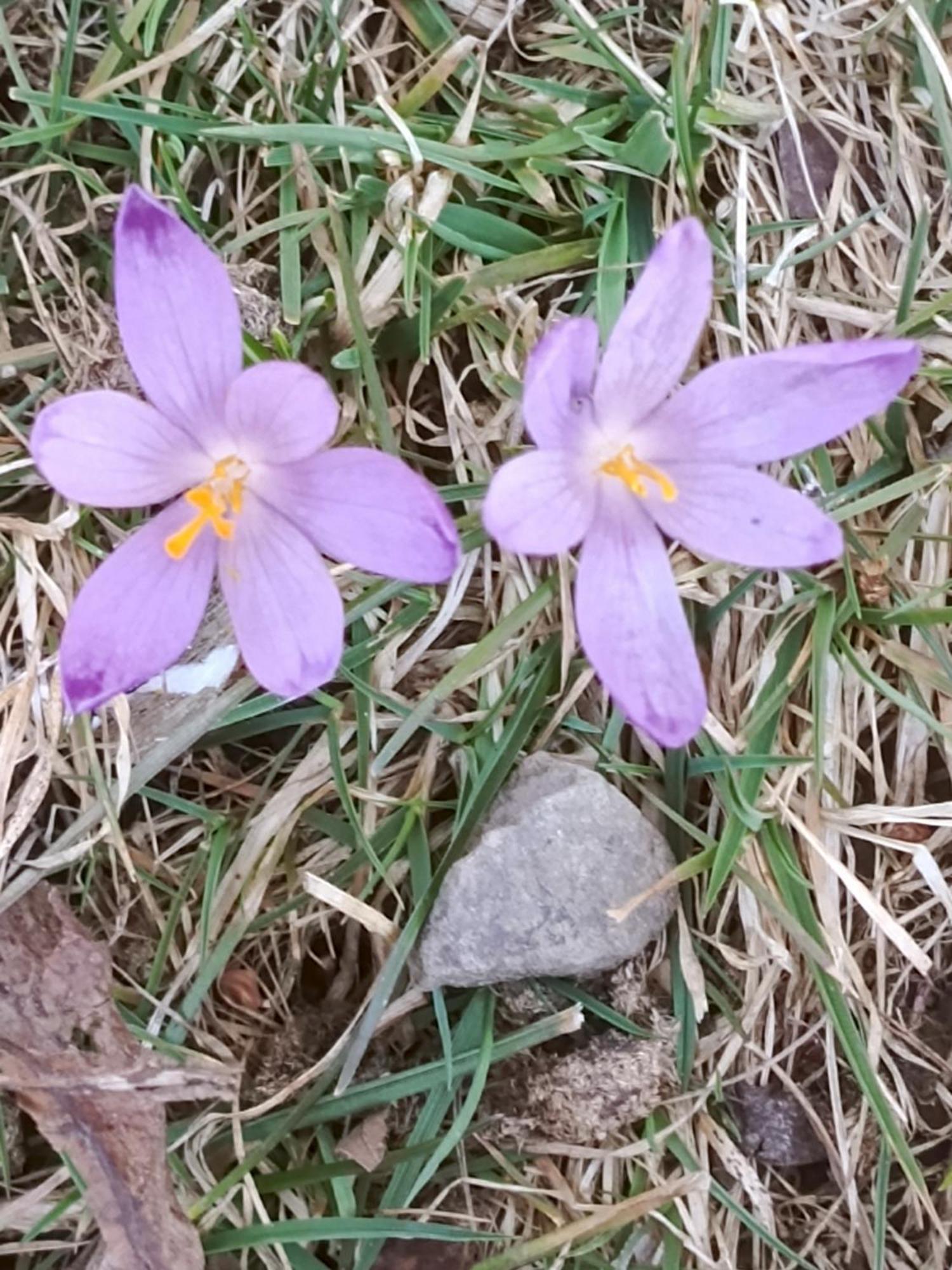 자보자 Gazdowka Na Mosornym Groniu 빌라 외부 사진