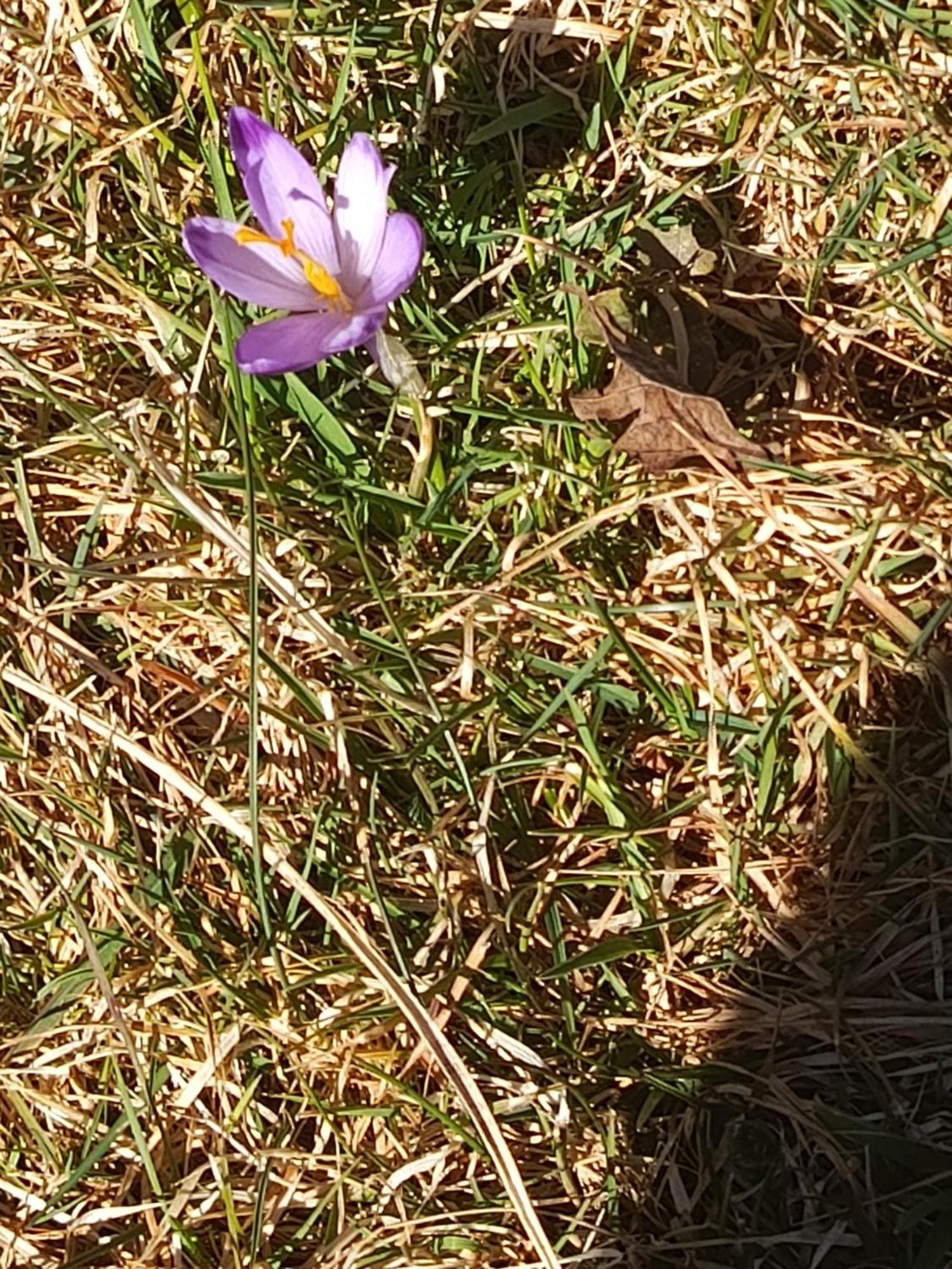 자보자 Gazdowka Na Mosornym Groniu 빌라 외부 사진